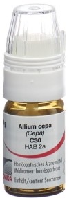 OMIDA Allium cepa Glob C 30 m Dosierhilfe 4 g
