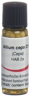 OMIDA allium cepa glob 12 D 2 g