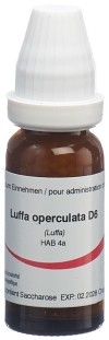 OMIDA luffa operculata glob 6 D 14 g