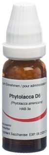 OMIDA Phytolacca Glob D 6 14 g