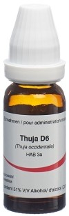OMIDA thuja glob 6 D 14 g
