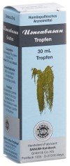 USNEABASAN teint mère, 30 ml