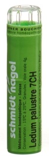 SN Ledum palustre Gran CH 7 4 g