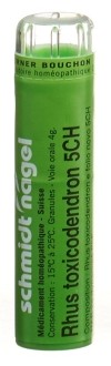 SN Rhus Toxicodendron Gran CH 5 4 g