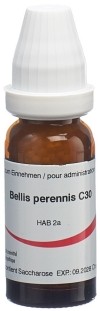 OMIDA Bellis perennis Glob C 30 14 g