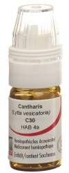 OMIDA cantharis globules C30 avec doseur, 4 g