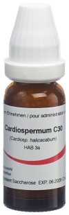 OMIDA Cardiospermum Glob C 30 14 g