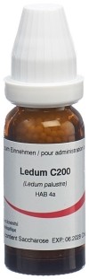 OMIDA ledum glob 200 C 14 g