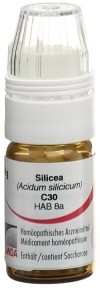 OMIDA Silicea Globuli C30 mit Dosierhilfe, 4 g