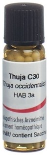 OMIDA Thuja Glob C 30 2 g