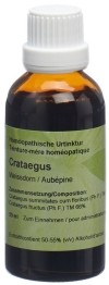 SPAGYROS Crataegus oxyacantha teinture mère, 50 ml