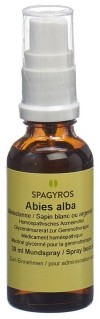 SPAGYROS GEMMO Abies alba macérat de glycérine D1, 30 ml