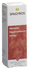 SPAGYROS SPAGYRIK COMP Aesculus hippocastanum comp spray, 50 ml