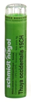 SN thuya occidentalis gran 15 CH 4 g