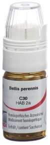 OMIDA bellis perennis glob 30 C avec doseur 4 g