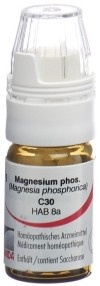 OMIDA magnesium phosphor glob 30 C a doseur 4 g