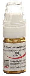 OMIDA Rhus tox Globuli C30 mit Dosierhilfe, 4 g