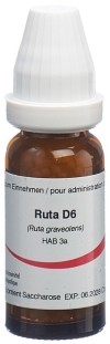 OMIDA ruta glob 6 D 14 g