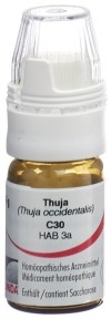 OMIDA Thuja Glob C 30 m Dosierhilfe 4 g