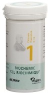 PFLÜGER SCHÜSSLER no1 calc fluo comprimés 12 D 100 g
