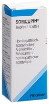 SOMCUPIN Tropfen, 50 ml