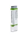 SPAGYROS Arnica globules C12 multiclick, 2 g