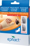 EPITACT ort dbl prot soup Hall JOUR L 23-24.5cm ga