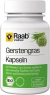 Raab Vitalfood Gerstengras Kapseln, 90 Stück