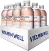 Vitamin Well Antioxidant pêche, 12 x 500 ml