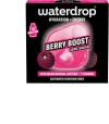 WATERDROP Microenergy Berry Boost, 12 Stück