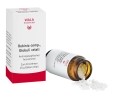 WALA robinia comp globules, 20 g