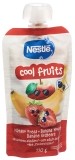 Nestle Cool Fruits 12M, 110 g