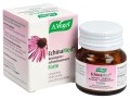 ECHINAMED forte comprimés résistance-refroidissement, 40 pièces