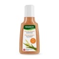 RAUSCH After Sun-Shampoo Weizenkeim Reisegrösse, 40 ml