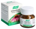 VOGEL Echinaforce Resistenz Erkältung Tabletten, 120 Stück