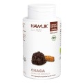 HAWLIK Chaga Extrait capsules, 240 pièces
