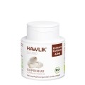 HAWLIK Coprinus Extrait capsules, 60 pièces