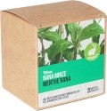 DIXA Menthae Nana Bio Box Pyramidenbeutel, 20 Stück