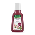 Rausch shampooing protection couleur à la rose musquée, 40 ml