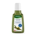 RAUSCH SHAMPOOING ANTI-GRAS au varech vésiculeux 40 ml