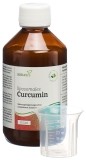 SANASIS Curcumin liposomal, 250 ml