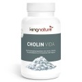Kingnature Cholin Vida Kapseln 350 mg, 90 Stück