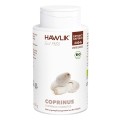 HAWLIK Coprinus Extrait capsules, 240 pièces
