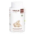 HAWLIK Pleurotus Extrait capsules, 240 pièces