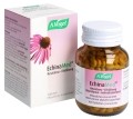 ECHINAMED comprimés résistance refroidissement, 400 pièces