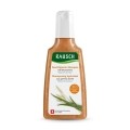 RAUSCH Feuchtigkeits-Shampoo Weizenkeim, 200 ml