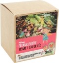 DIXA Kindertee Feenwasser Bio Box Pyramidenbeutel, 20 Stück
