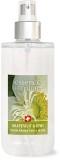 Essence of Nature Ambiance Room Spray Grapefruit Kiwi Spray, 120 ml