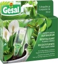 GESAL Grünpflanzen Aufbaukur, 12 x (5 x 30 ml)