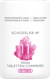 PHYTOMED SCHÜSSLER Nr11 Silicea Tabl D 6 100 g